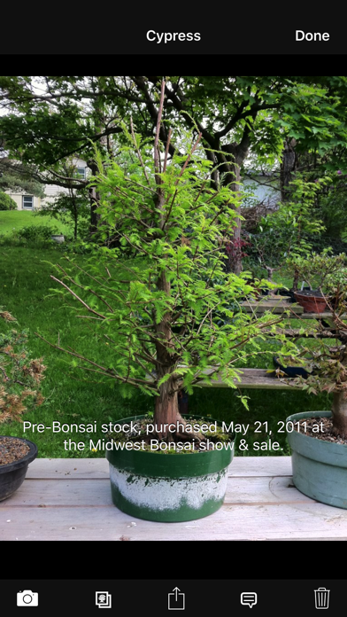 Bonsai Album Lite Ekran Görüntüleri