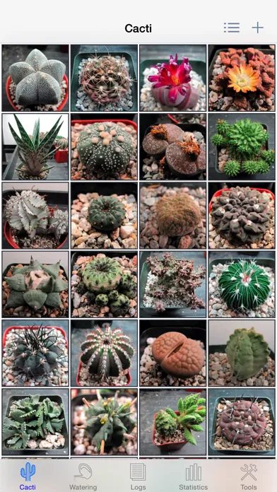 Cactus Album应用截图