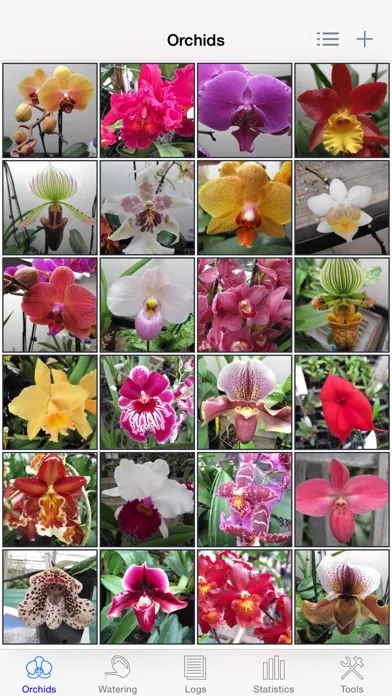 Capturas de pantalla de Orchid Album