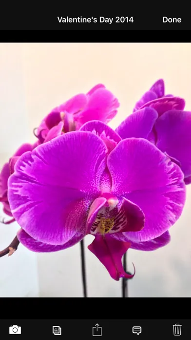 Capturas de pantalla de Orchid Album