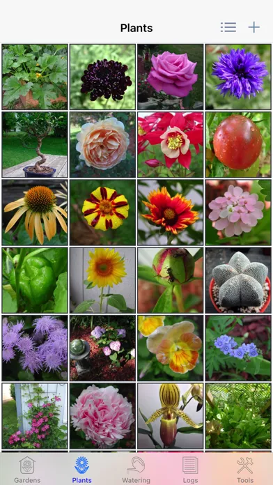 Plant Album Screenshots
