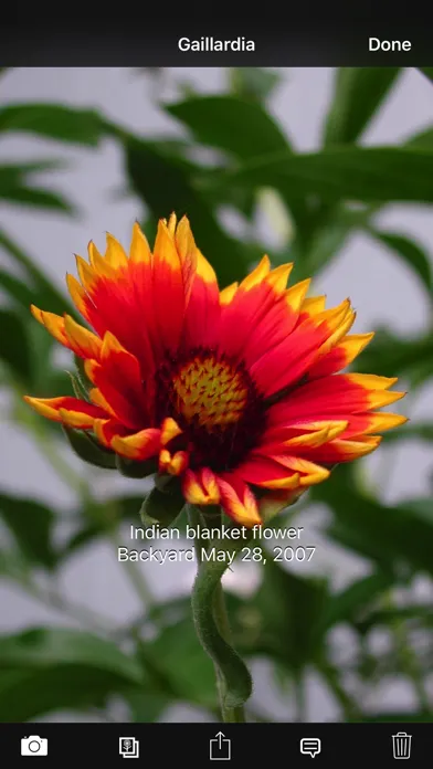Plant Album Screenshots