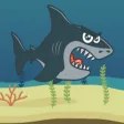 Survivor Shark