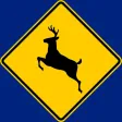 British Columbia, Canada Driver Knowledge Test