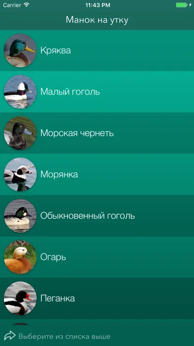 Охотничий манок на утку Screenshots