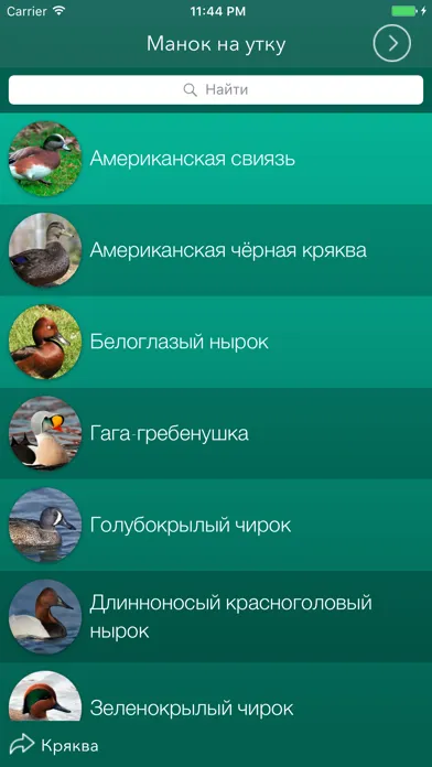 Охотничий манок на утку Screenshots