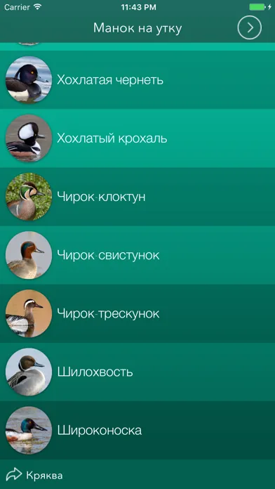 Охотничий манок на утку Screenshots