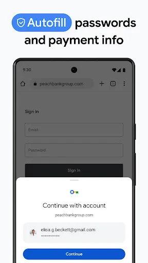 Google Chrome Screenshots