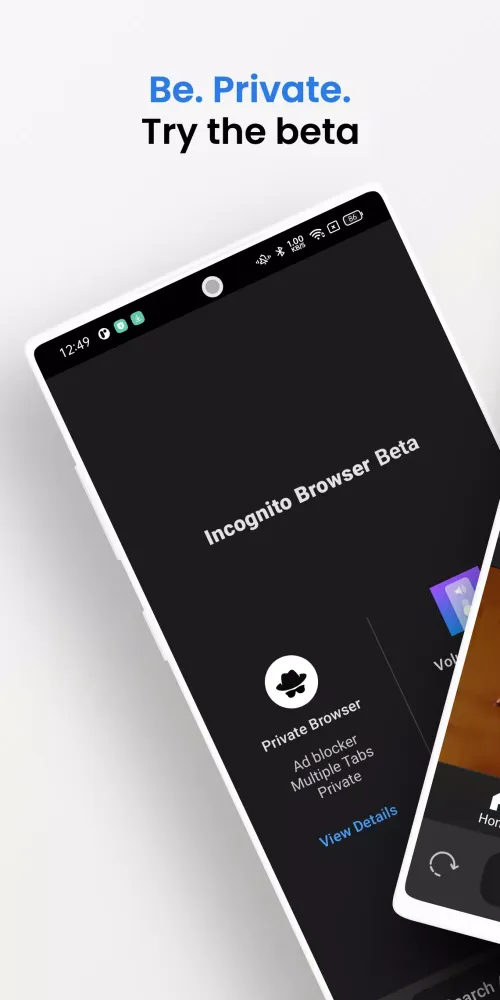 صور Private Browser - Beta