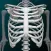 Osseous System in 3D (Anatomy)