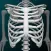 Bones 3D (Anatomy)