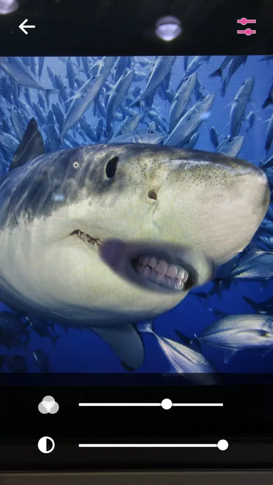 Lip Swap Screenshots