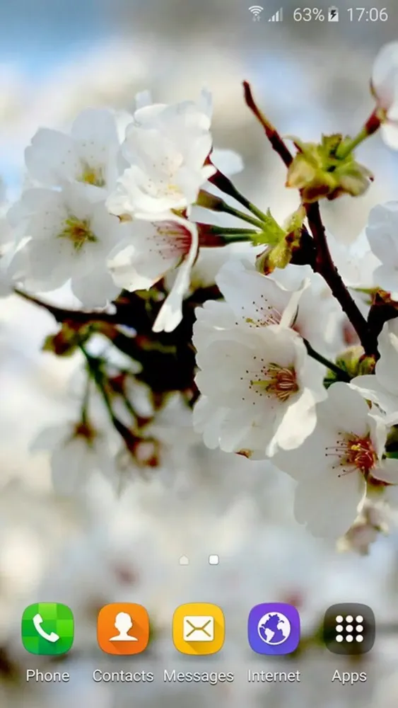 Wallpapers Sakura應用截圖