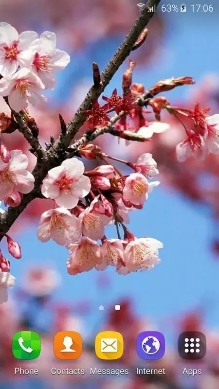 Wallpapers Sakura應用截圖