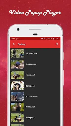 Multiple Video Popup Player Screenshots
