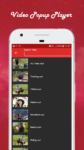 Multiple Video Popup Player Screenshots