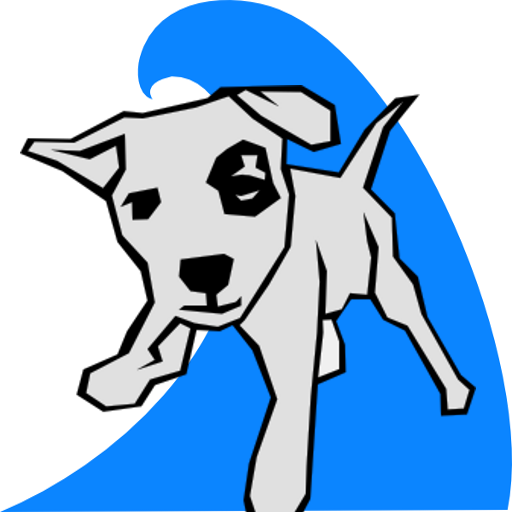 SurfDog