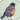 Robin Bird Sounds