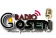 Radio Gosen