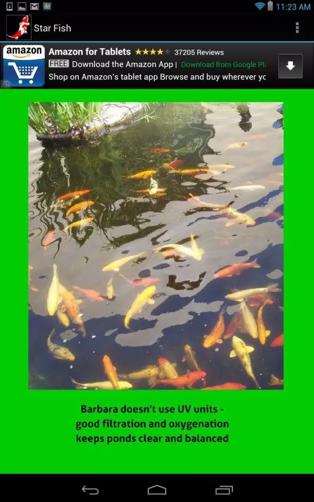 Koi Story - Part 1应用截图