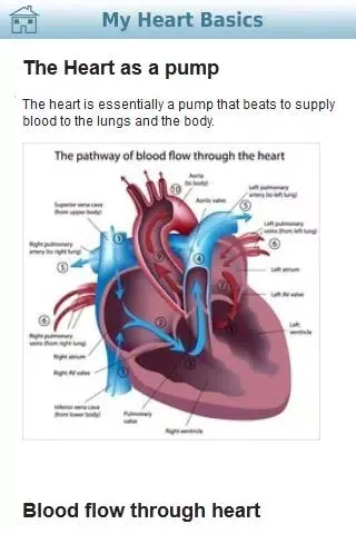 My Heart Screenshots