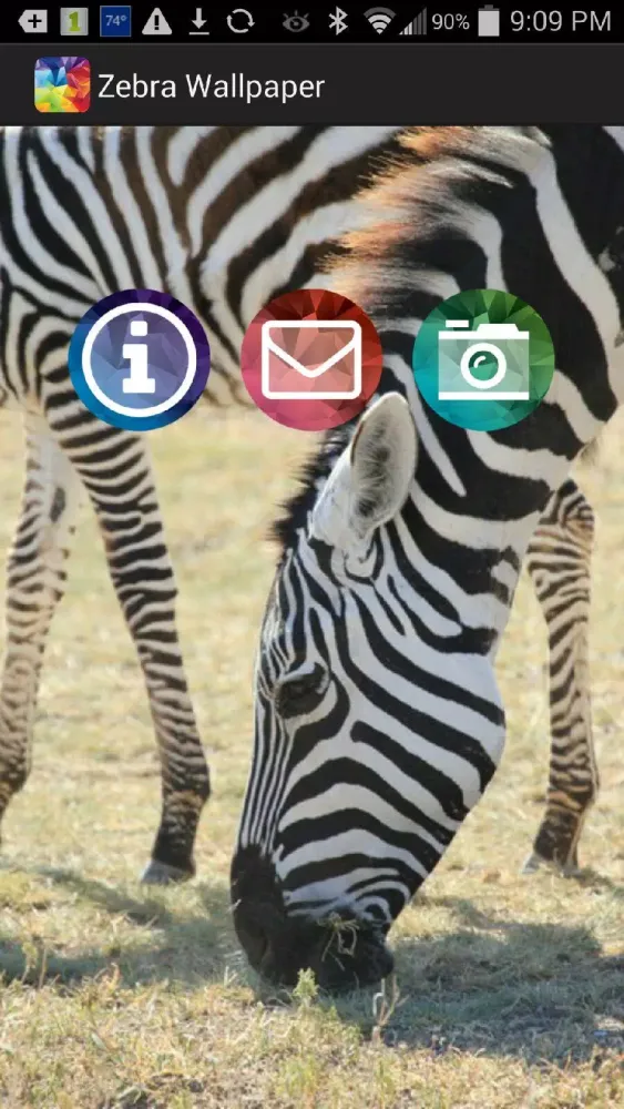 Capturas de tela do Zebra Wallpaper