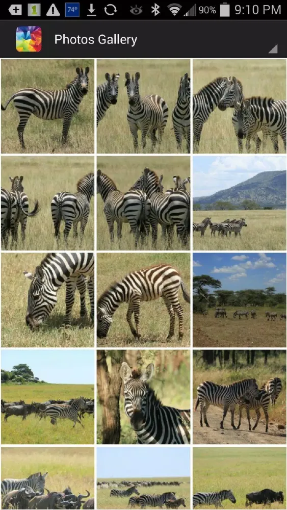 Capturas de tela do Zebra Wallpaper