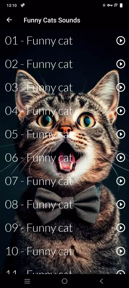 Cats sounds Screenshots