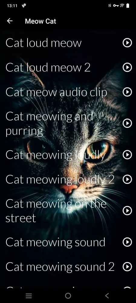 Cats sounds Screenshots