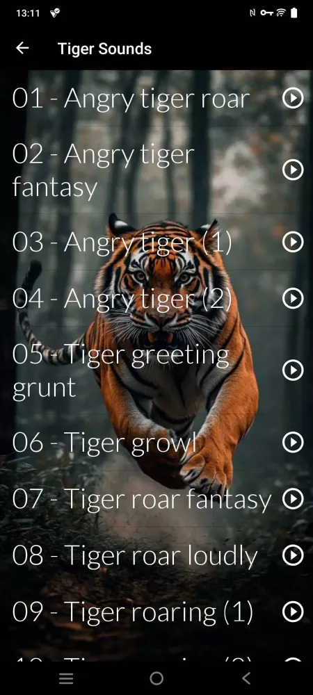 Cats sounds Screenshots