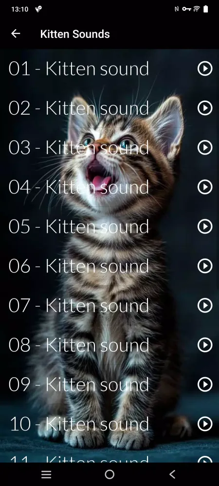Cats sounds Screenshots