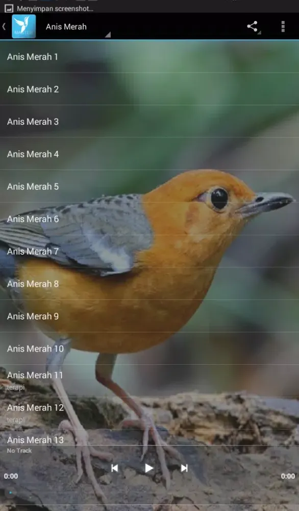 Masteran (+500 Kicau Lengkap) Screenshots