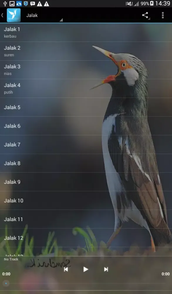 Masteran (+500 Kicau Lengkap) Screenshots