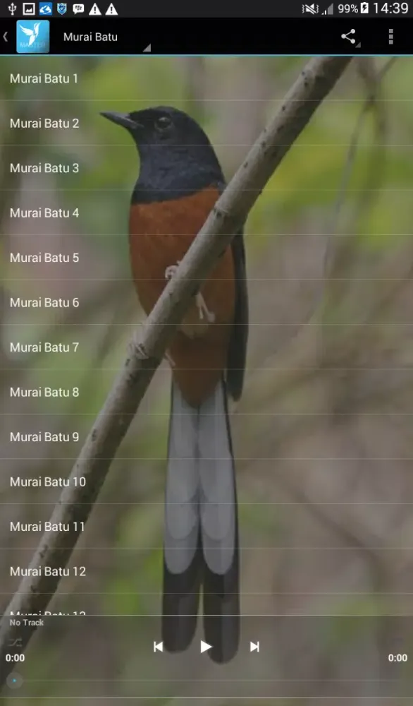 Masteran (+500 Kicau Lengkap) Screenshots