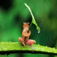 Funny pictures 13