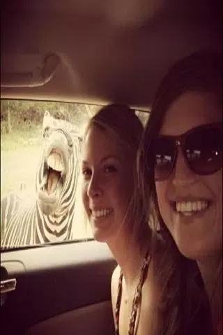 صور Funny pictures 13