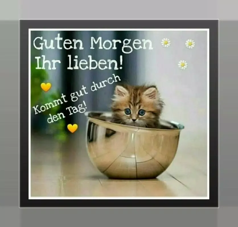 Guten Morgen und Gute Nacht स्क्रीनशॉट