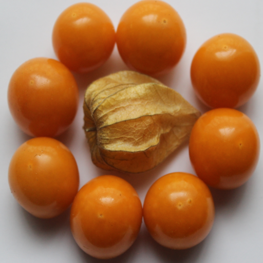 KALRO Gooseberry