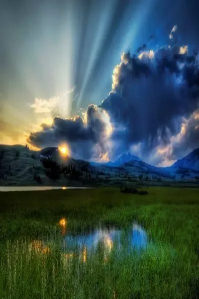 Weather App Screenshots