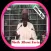 Sheik Albani Zaria-Attaqlid