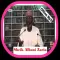 Sheik Albani Zaria-Attaqlid