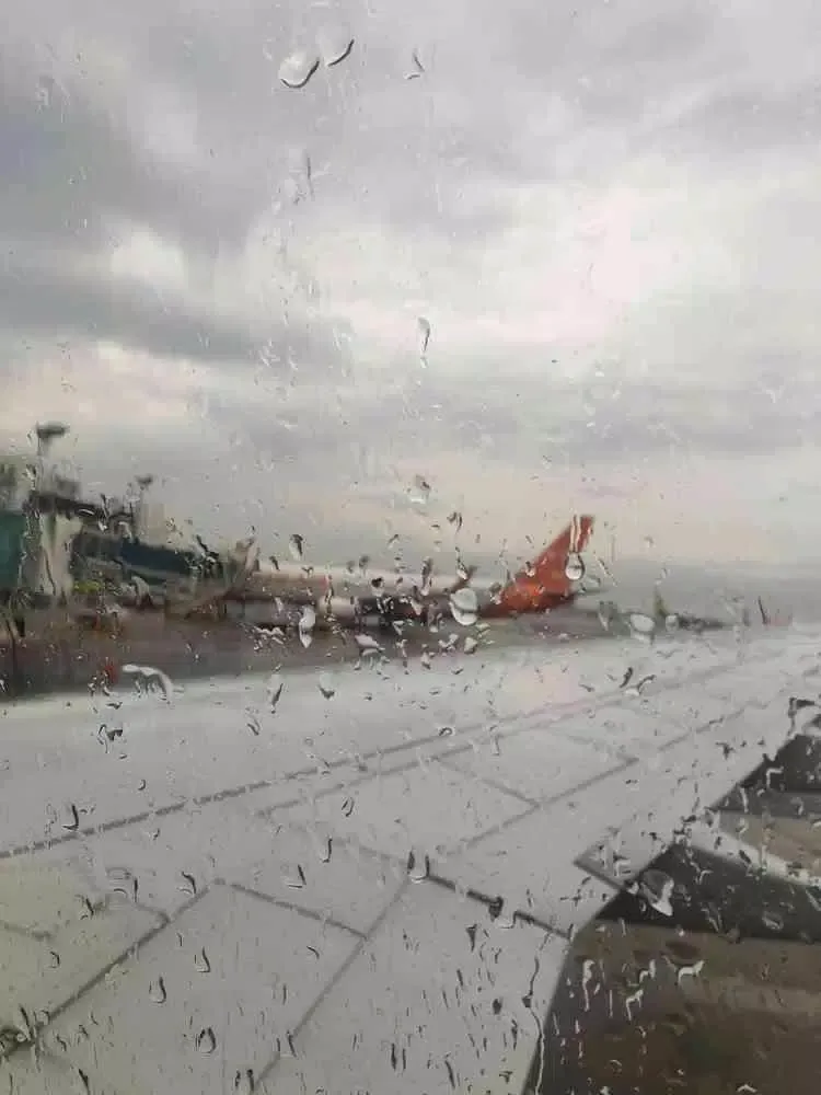 Rain Wallpapers Screenshots