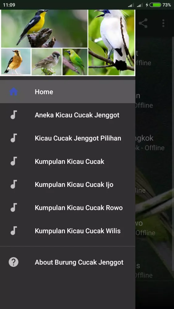 Suara Cucak Jenggot Gacor Screenshots