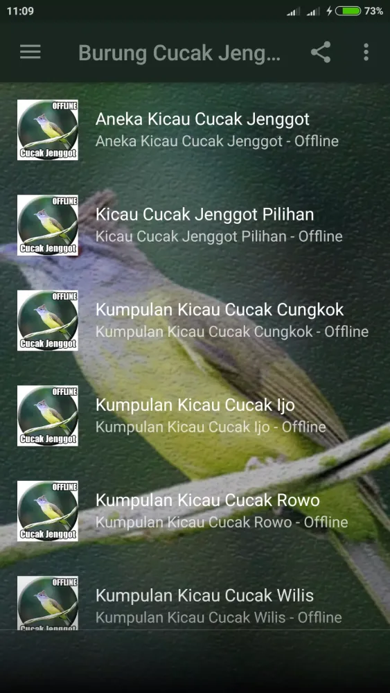 Suara Cucak Jenggot Gacor Screenshots