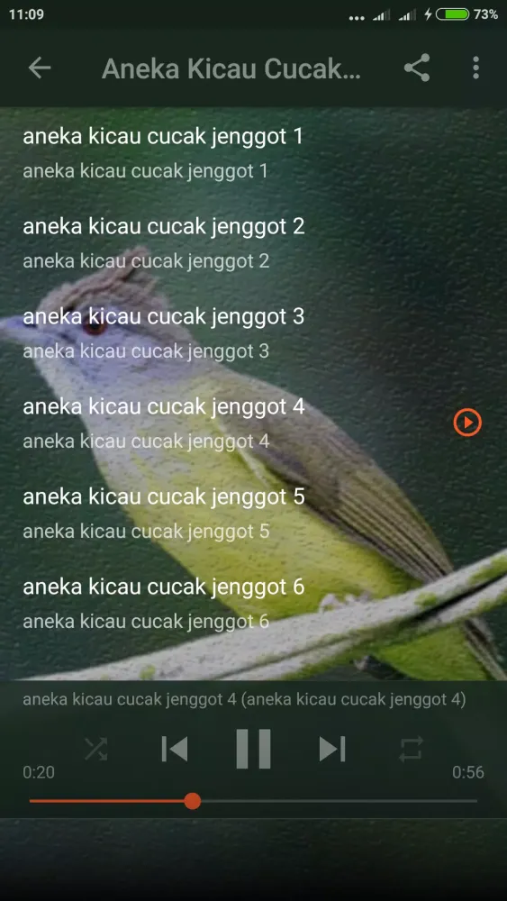 Suara Cucak Jenggot Gacor Screenshots