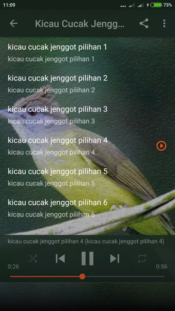 Suara Cucak Jenggot Gacor Screenshots