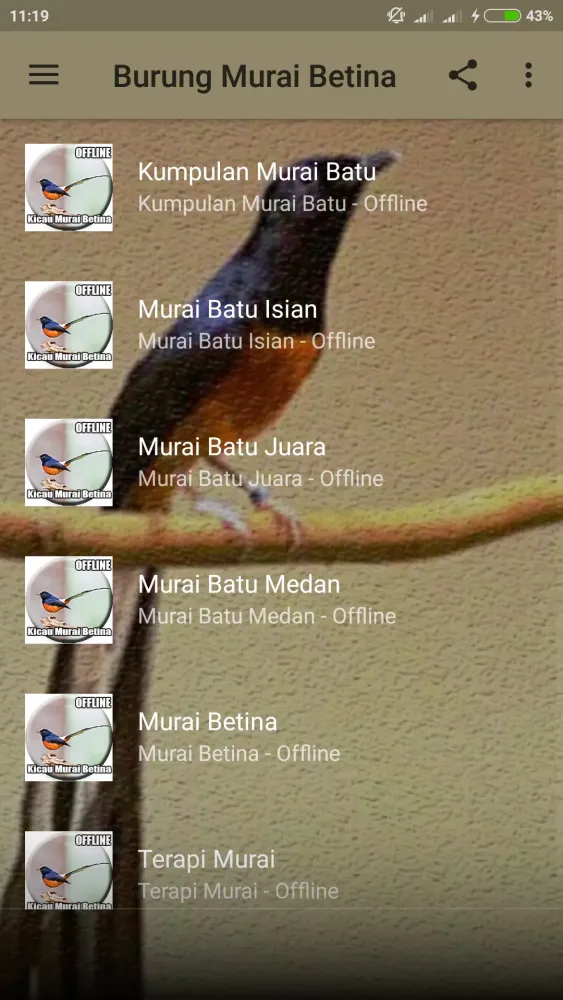 Suara Murai Betina Gacor Screenshots