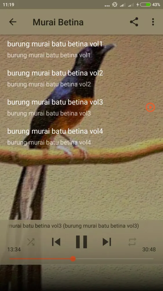 Suara Murai Betina Gacor Screenshots