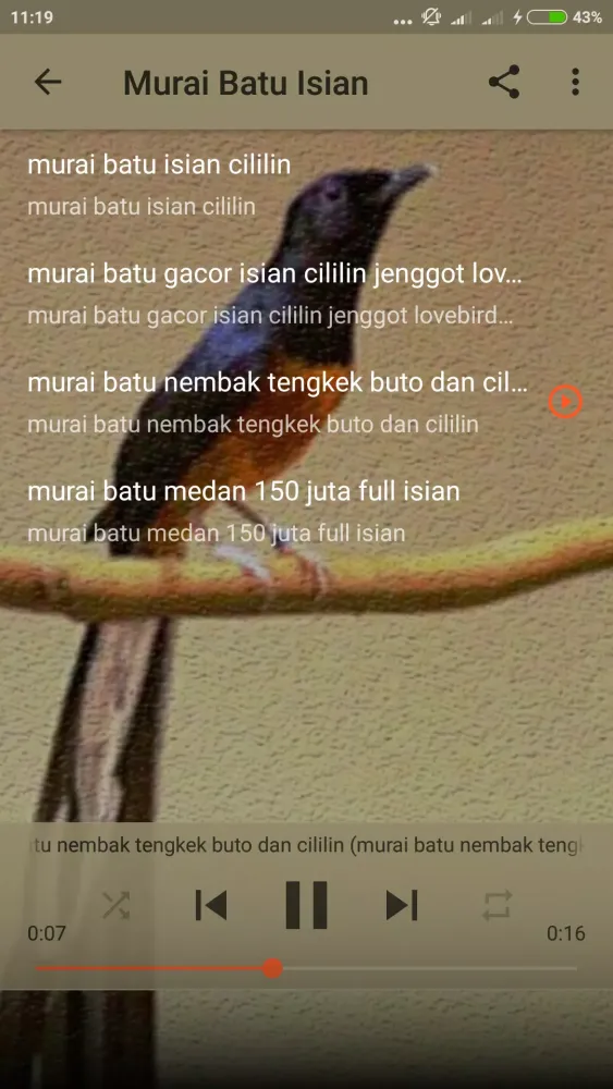 Suara Murai Betina Gacor Screenshots