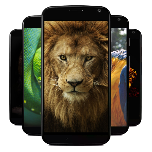 Background Animals 3D